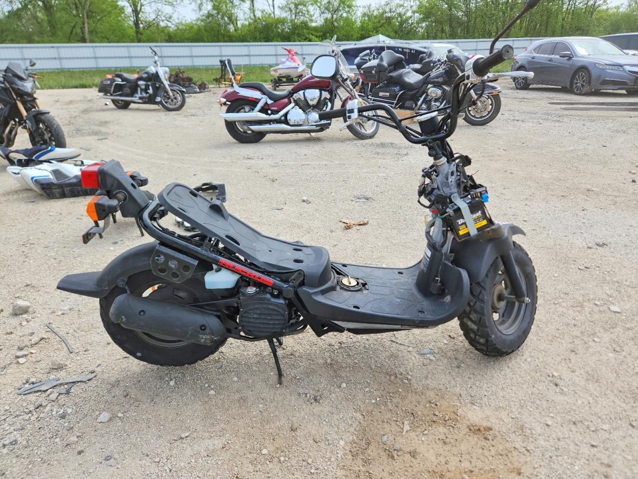 Salvage Honda Ruckus Image