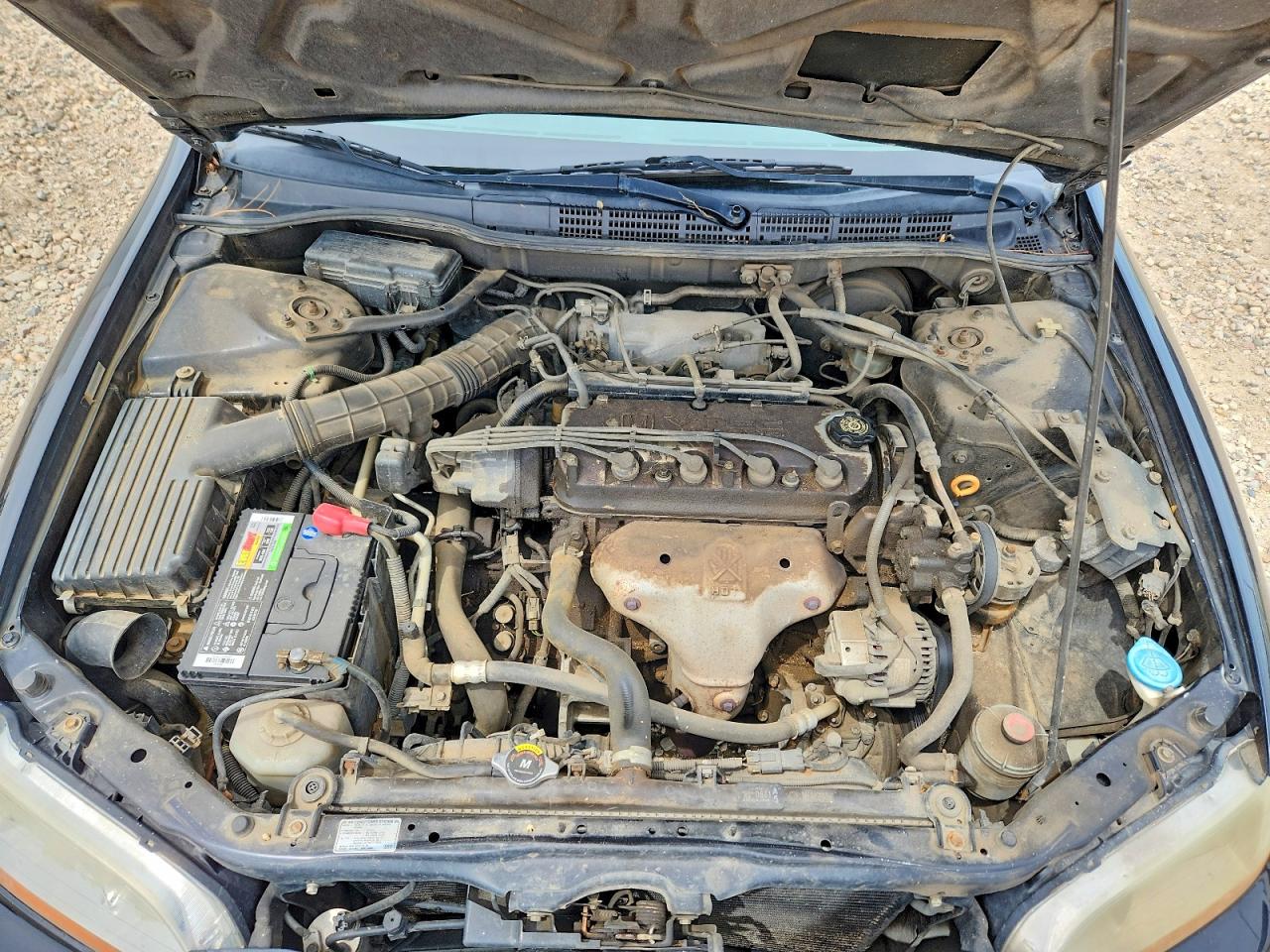 Honda Accord Se