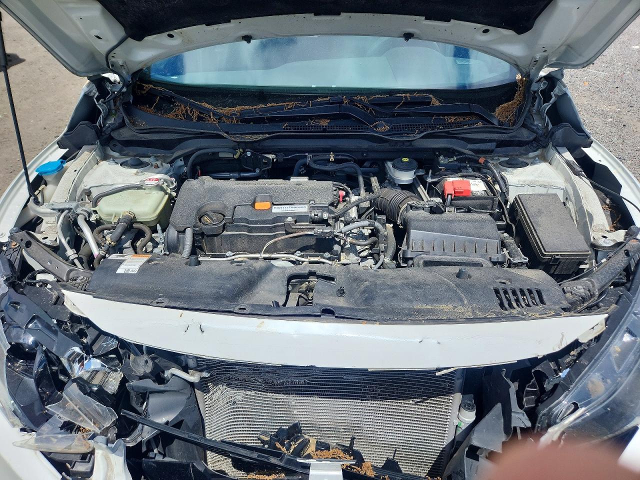 Honda Civic Sport