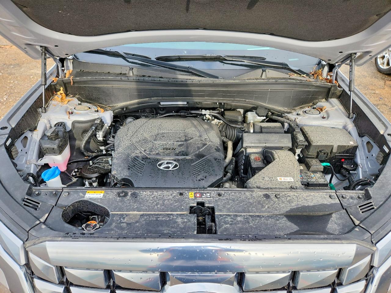 Hyundai PALISADE Calligraphy