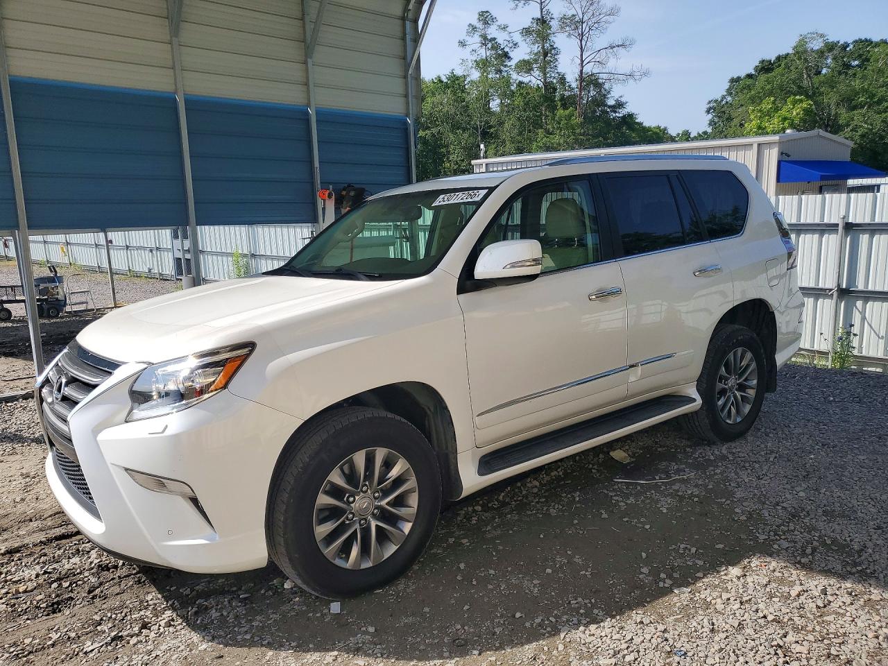 Salvage Lexus Gx Image