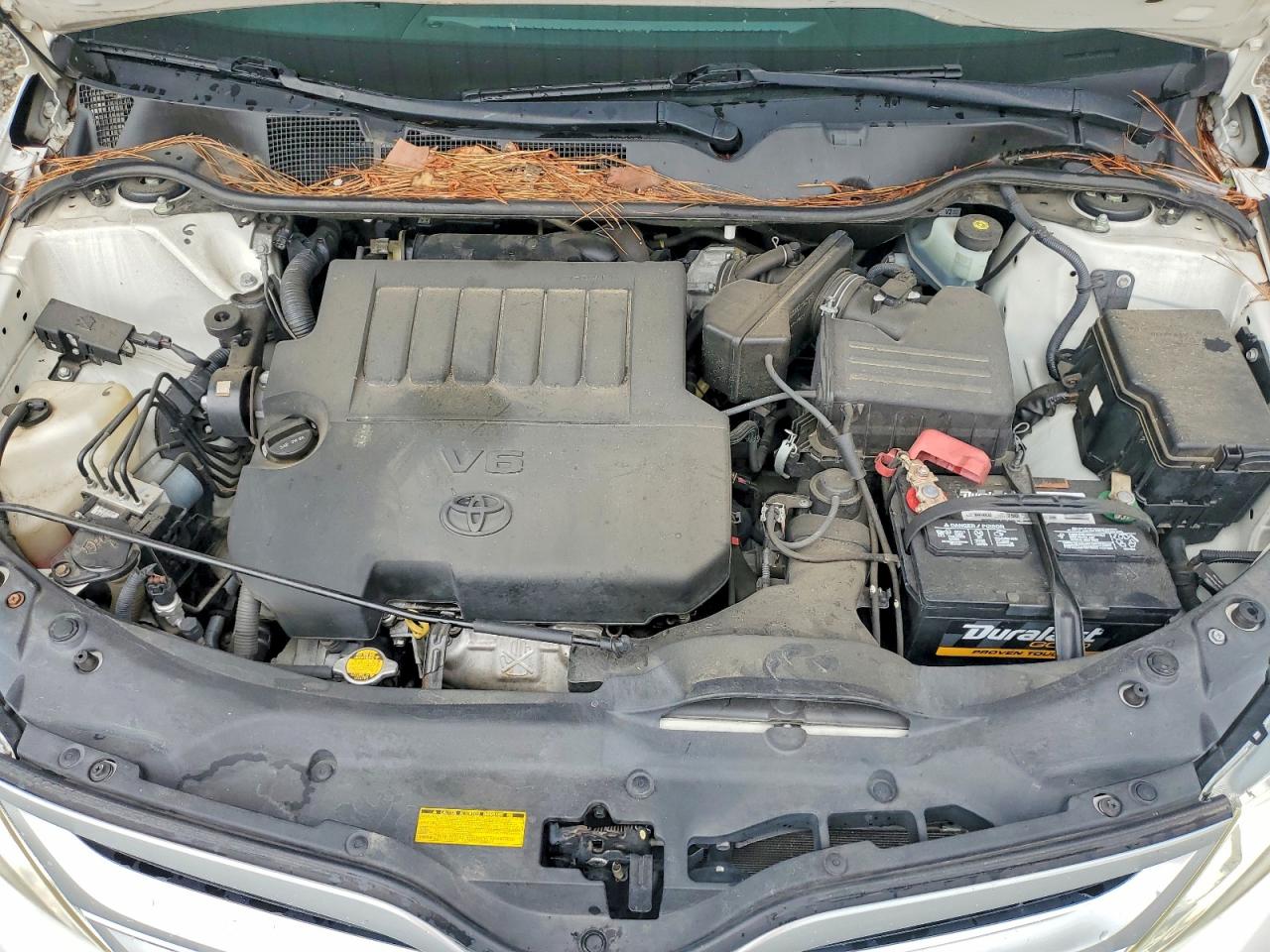 Toyota Venza Xle