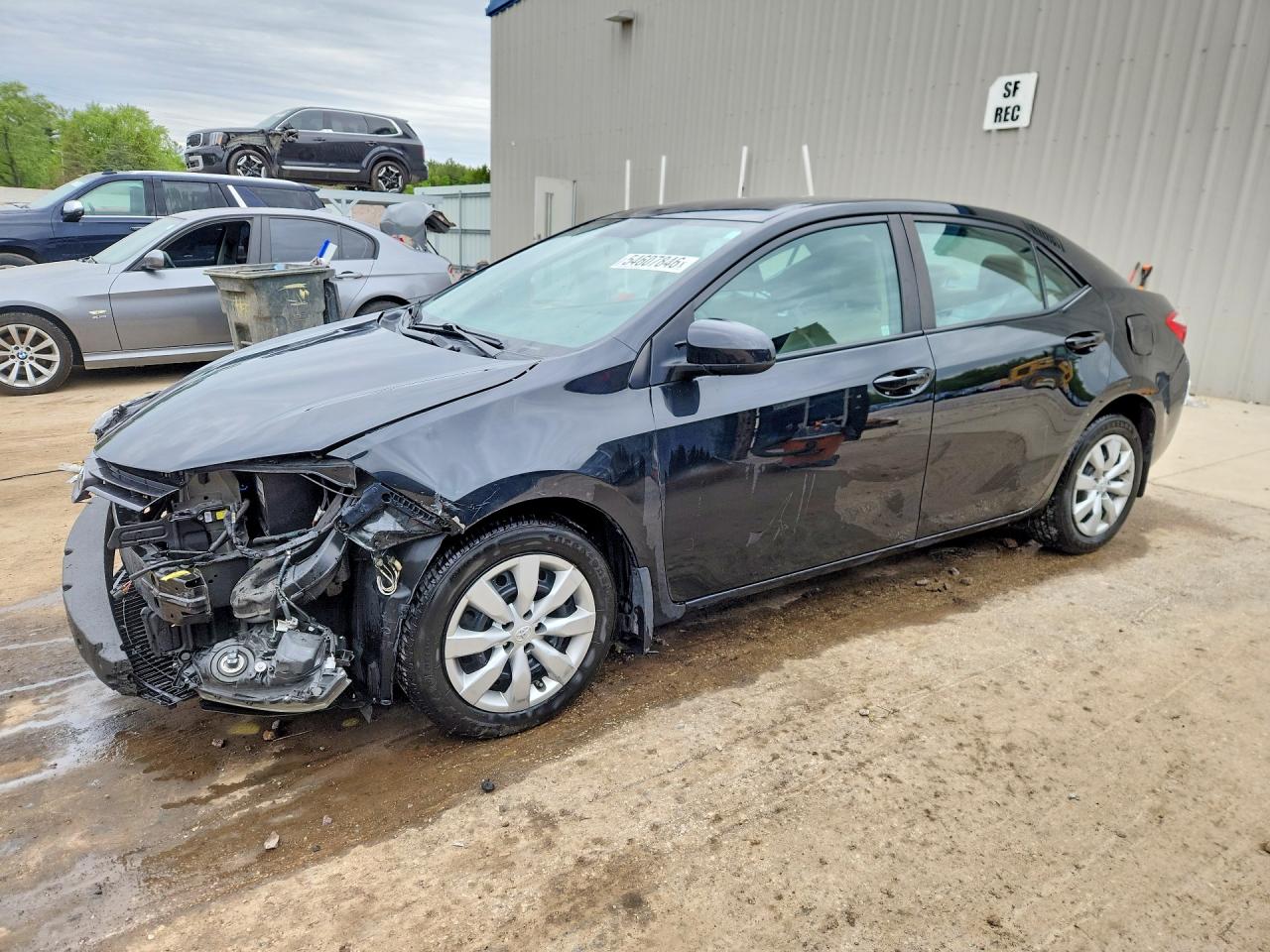 Salvage Toyota Corolla Image