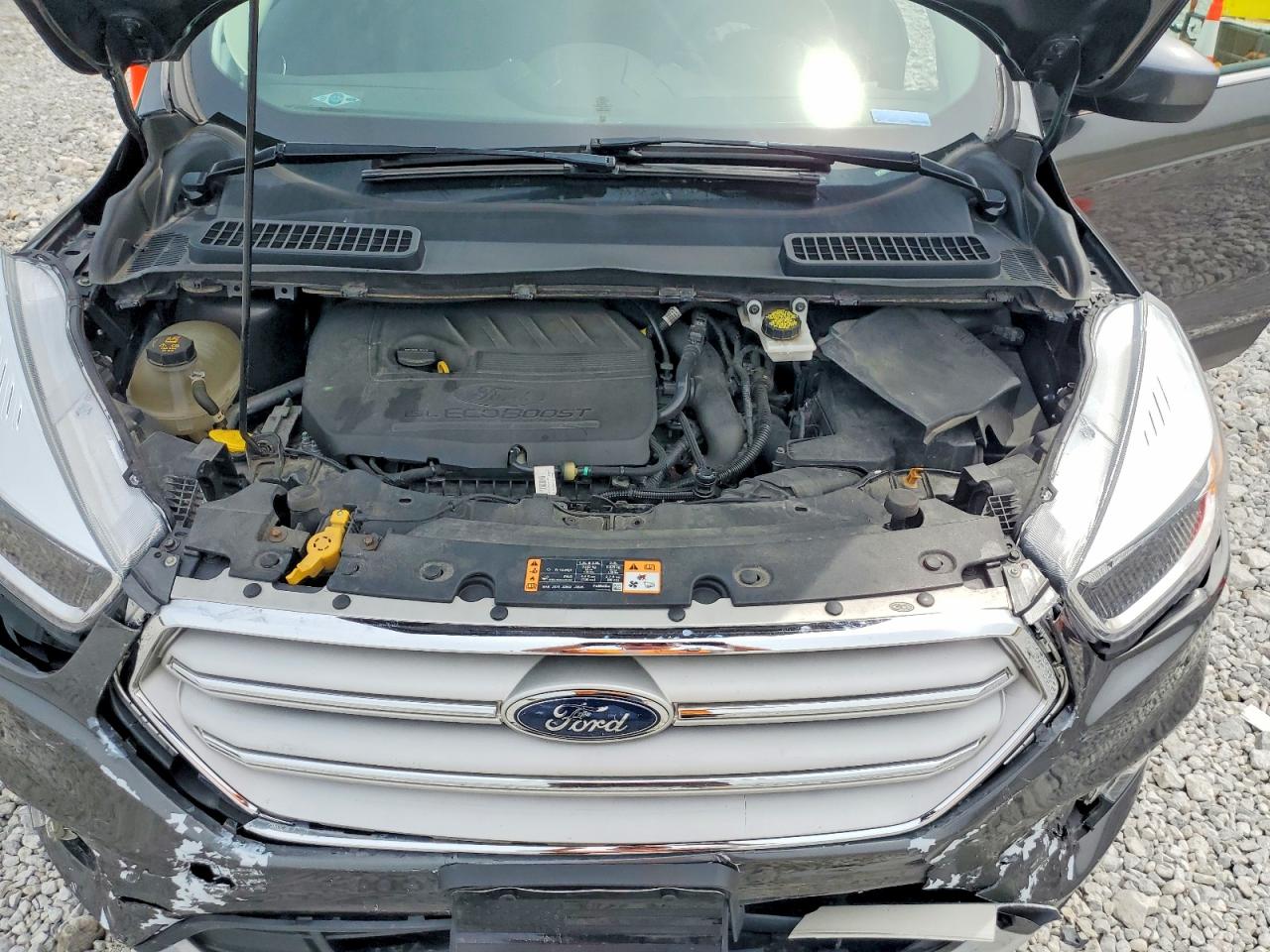 Ford Escape Se