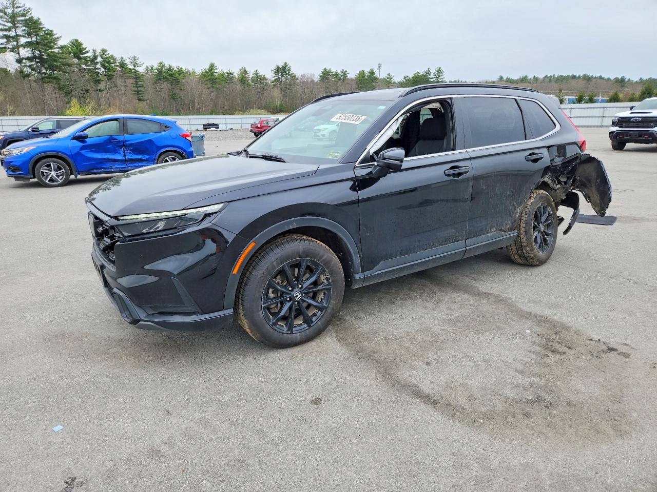 Salvage Honda Crv Image