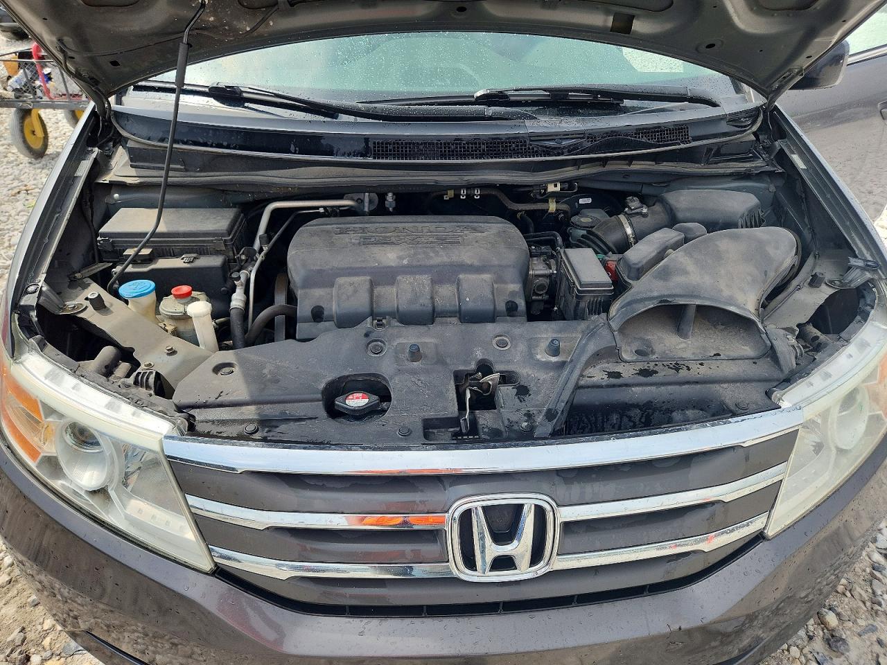 Honda Odyssey Exl