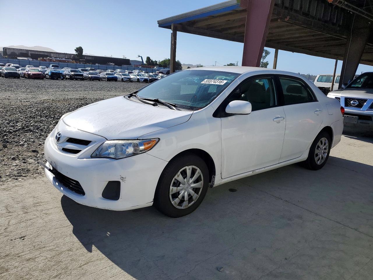 Salvage Toyota Corolla Image