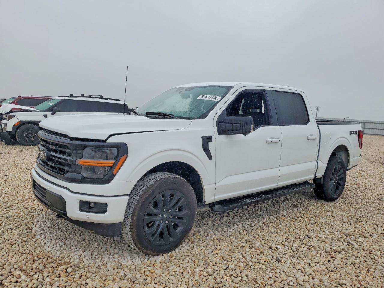 Salvage Ford F-150 Image