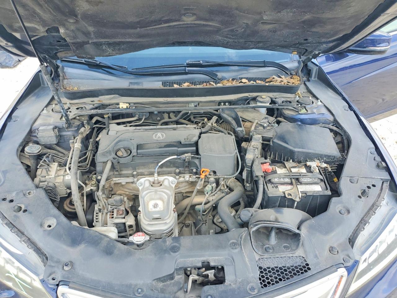 Acura TLX