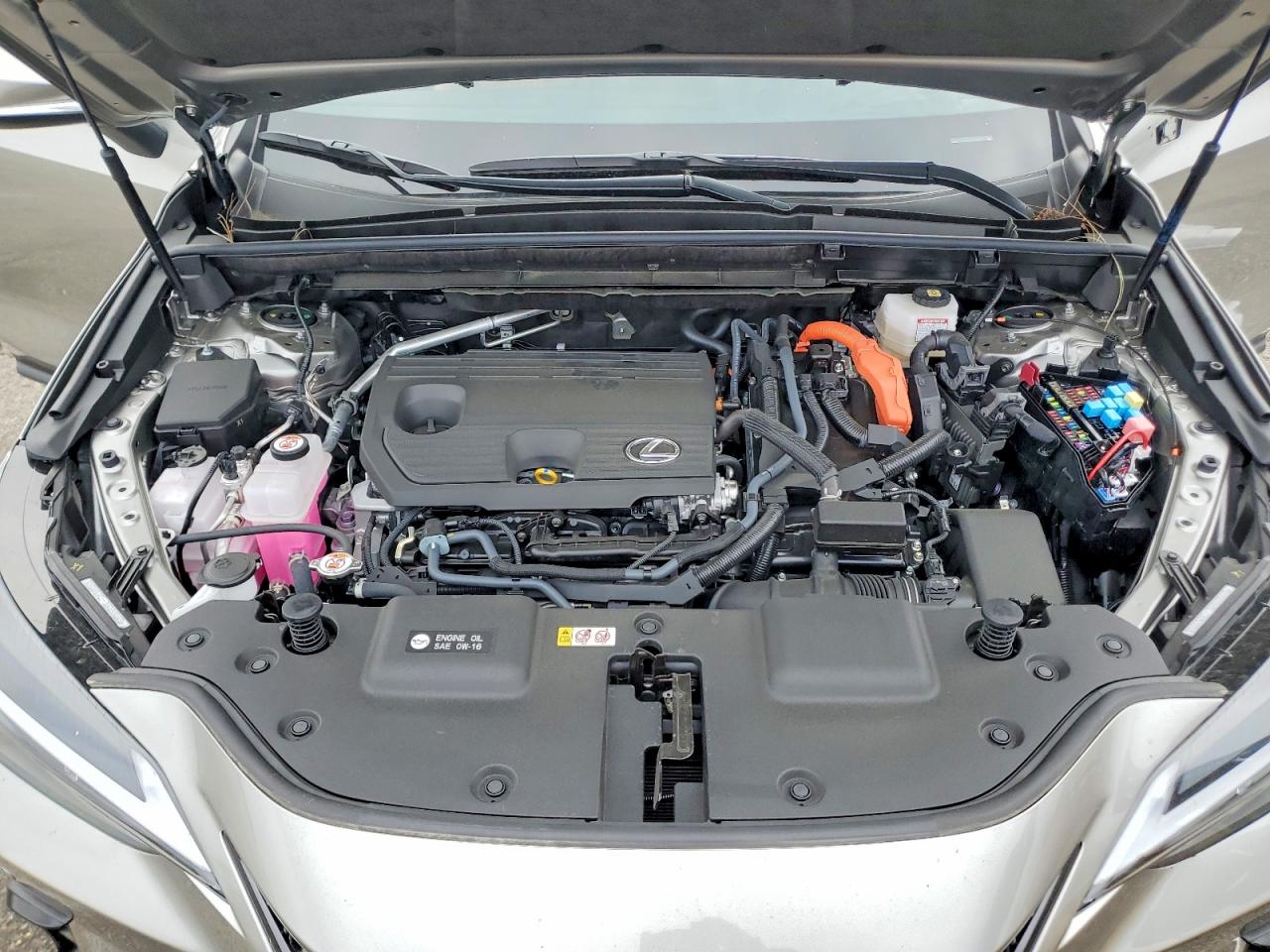 Lexus NX Premium