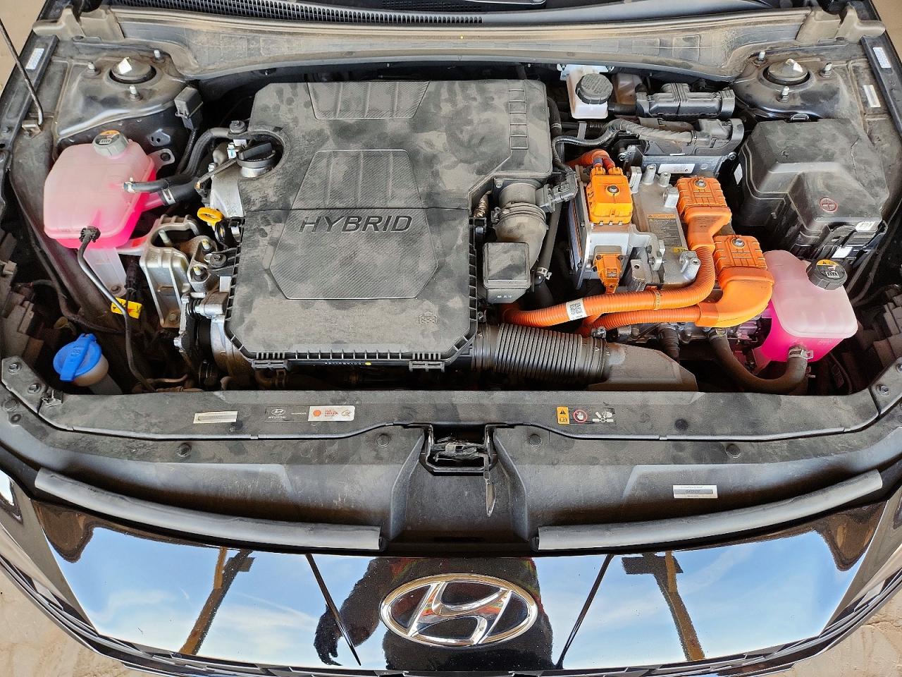 Hyundai ELANTRA Blue