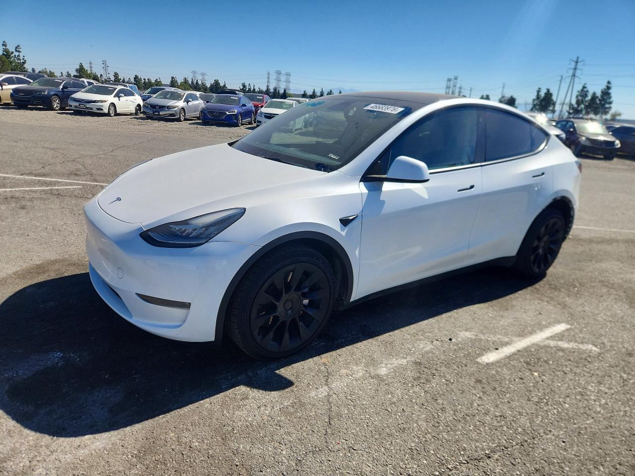 Salvage Tesla Model Y Image