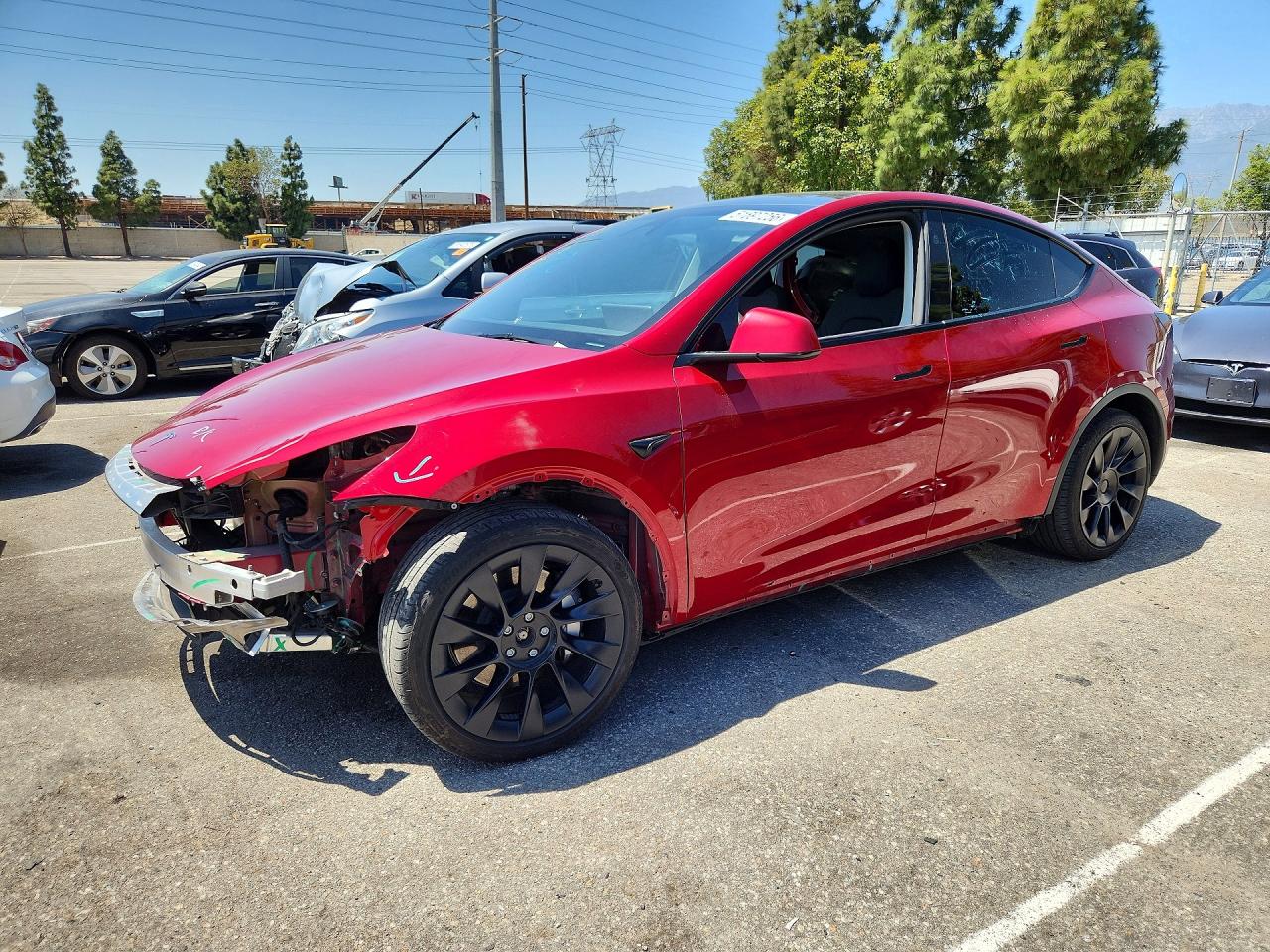 Salvage Tesla Model Y Image