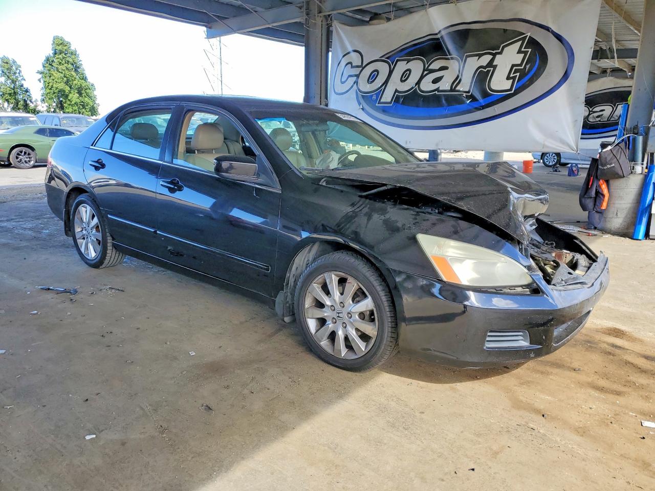 Honda Accord Ex