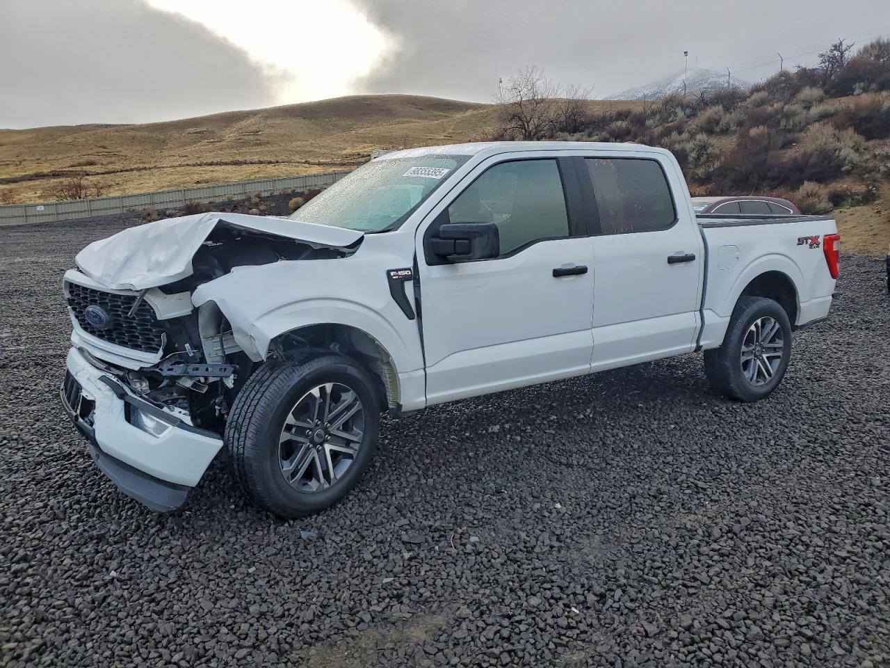 Salvage Ford F-150 Image