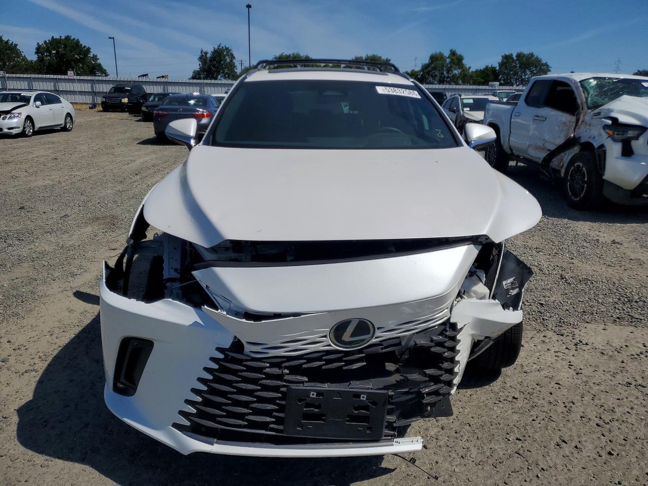 Lexus Other Premium+