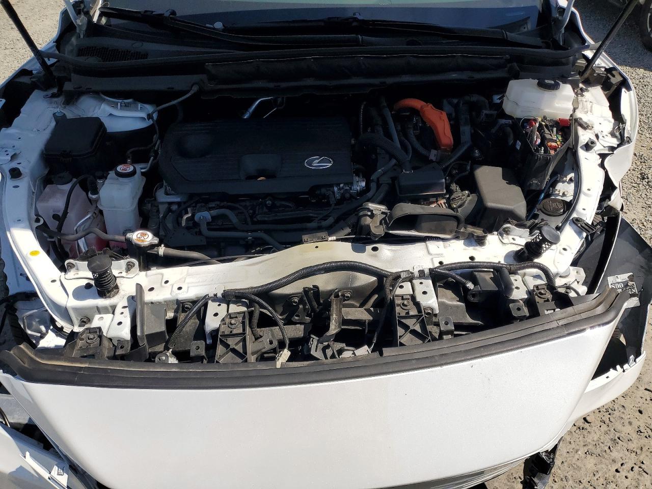Lexus Other Premium+