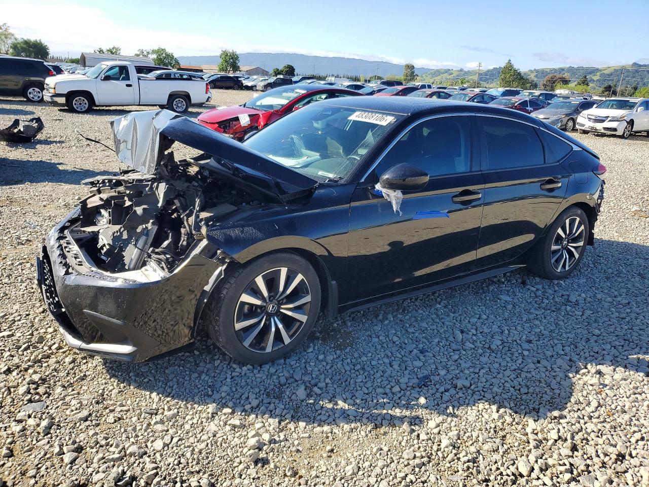 Salvage Honda Civic Image