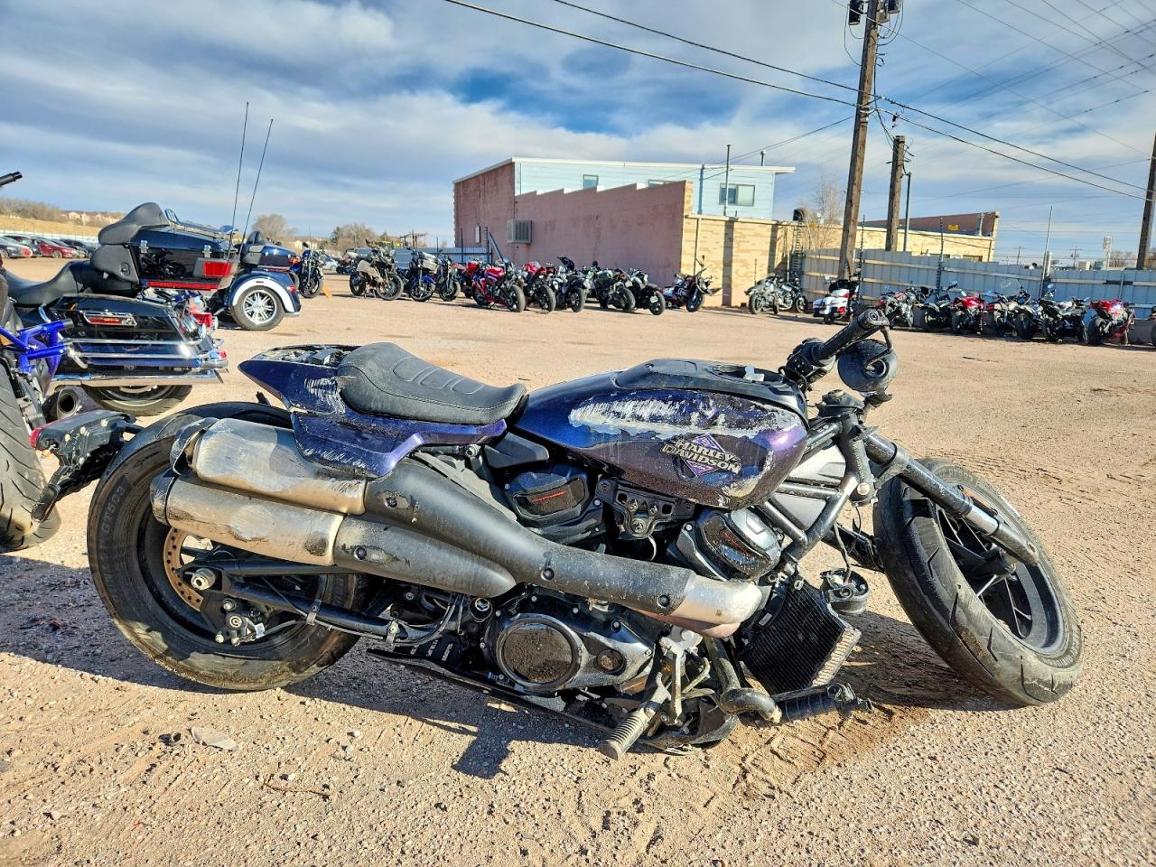 Salvage Harley-Davidson Rh1250 Image