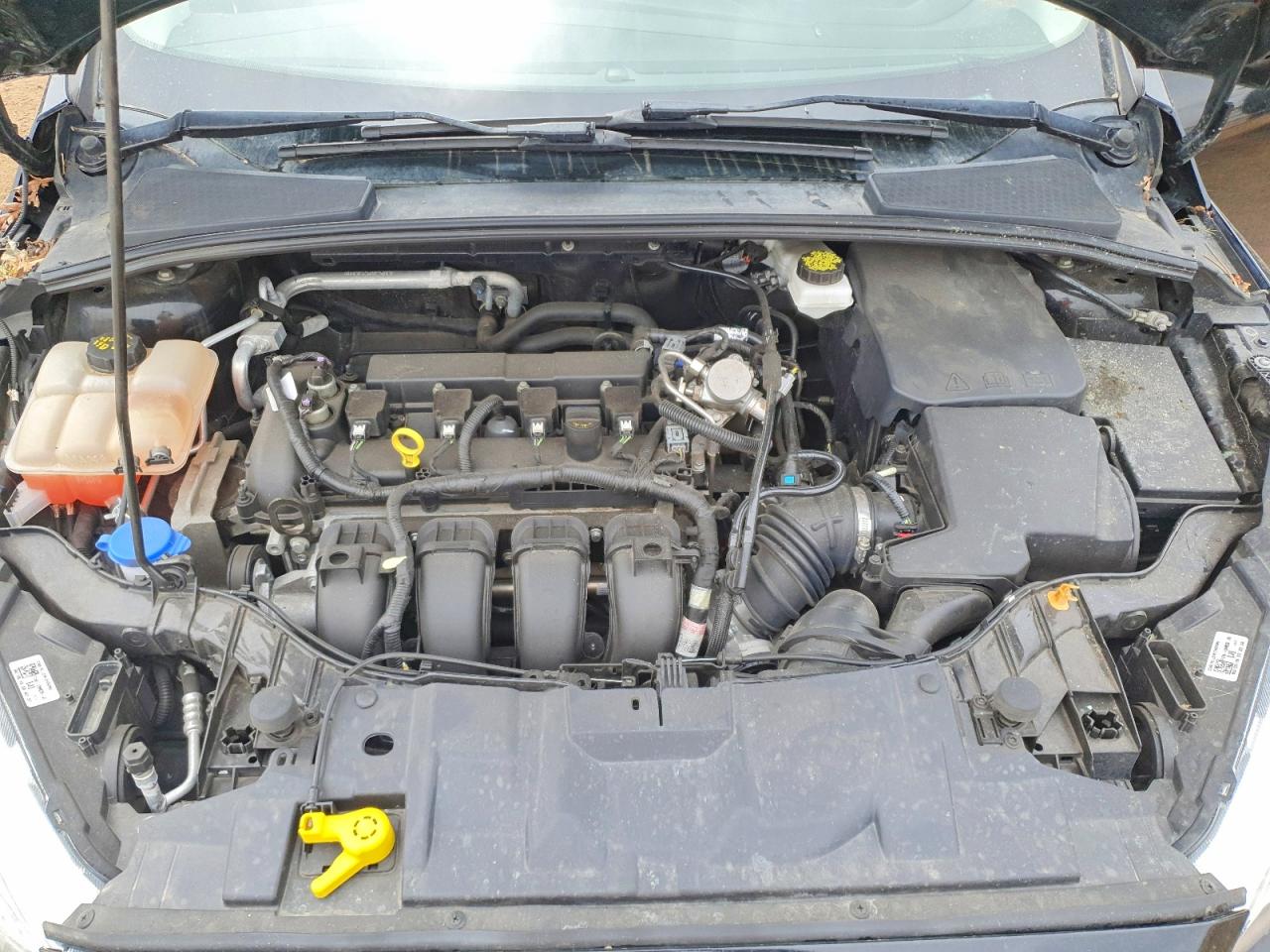 Ford Focus Se