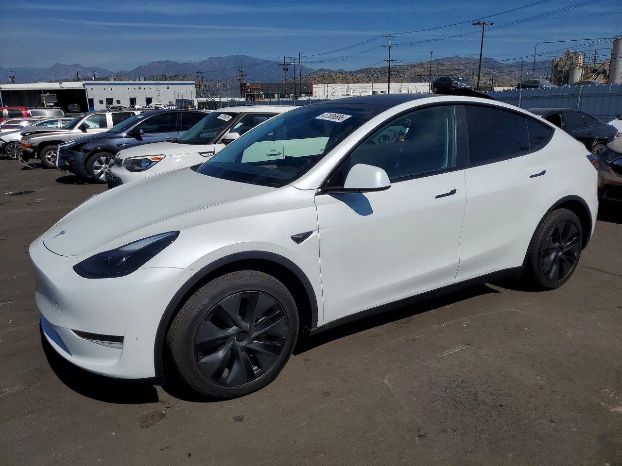 Salvage Tesla Model Y Image