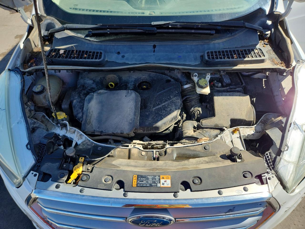Ford Escape Se
