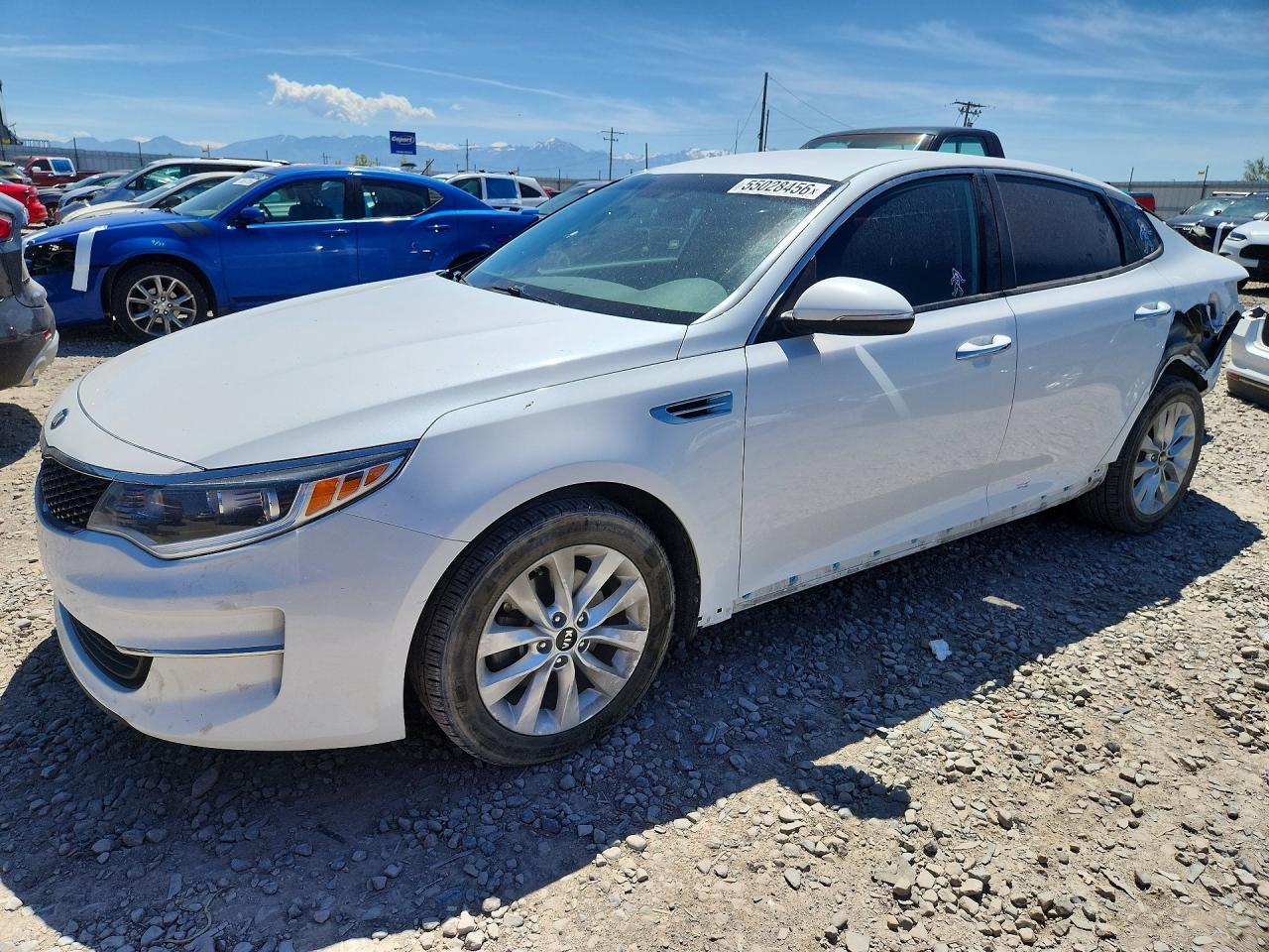Salvage Kia Optima Image