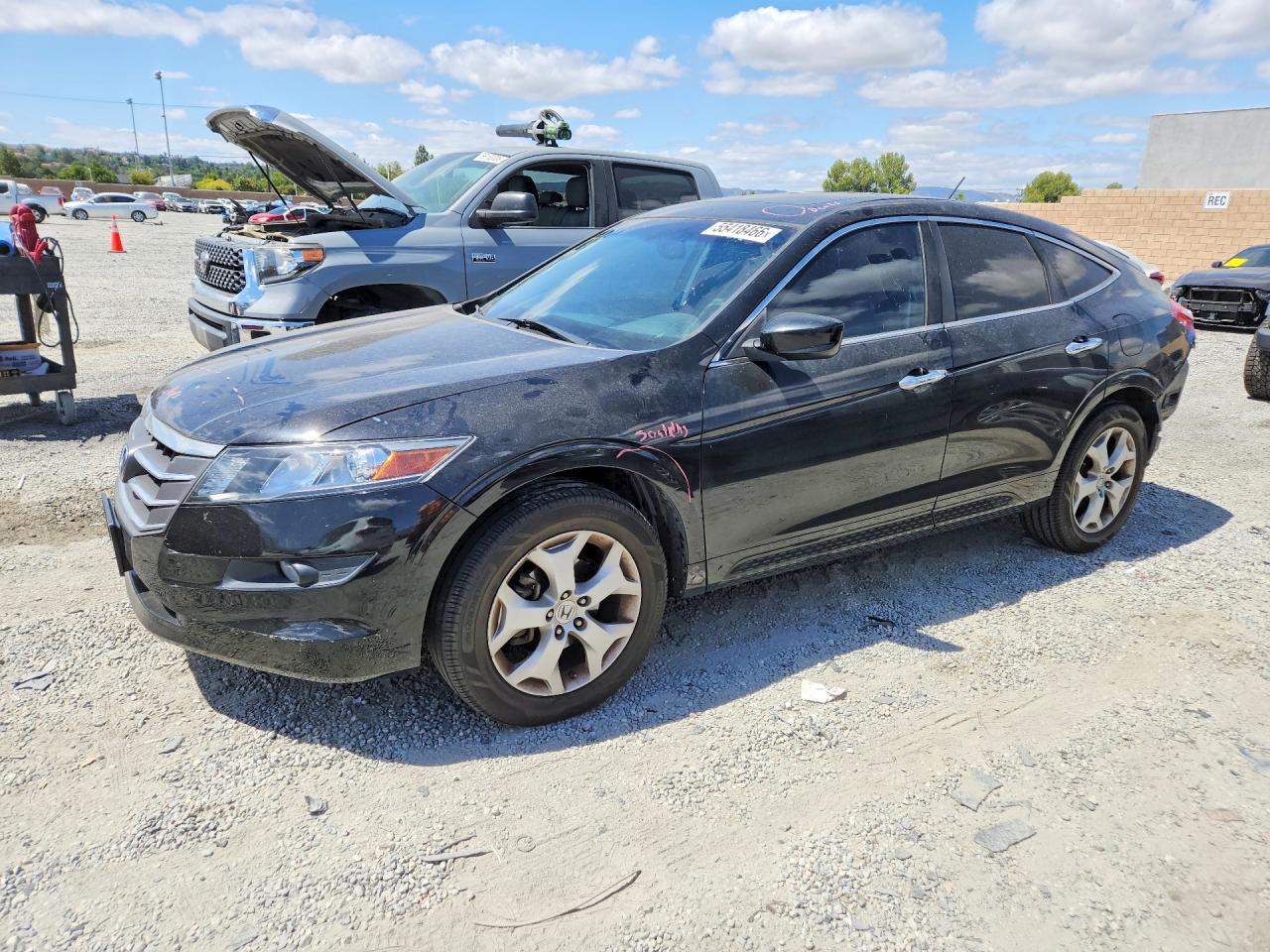 Salvage Honda Accord Image