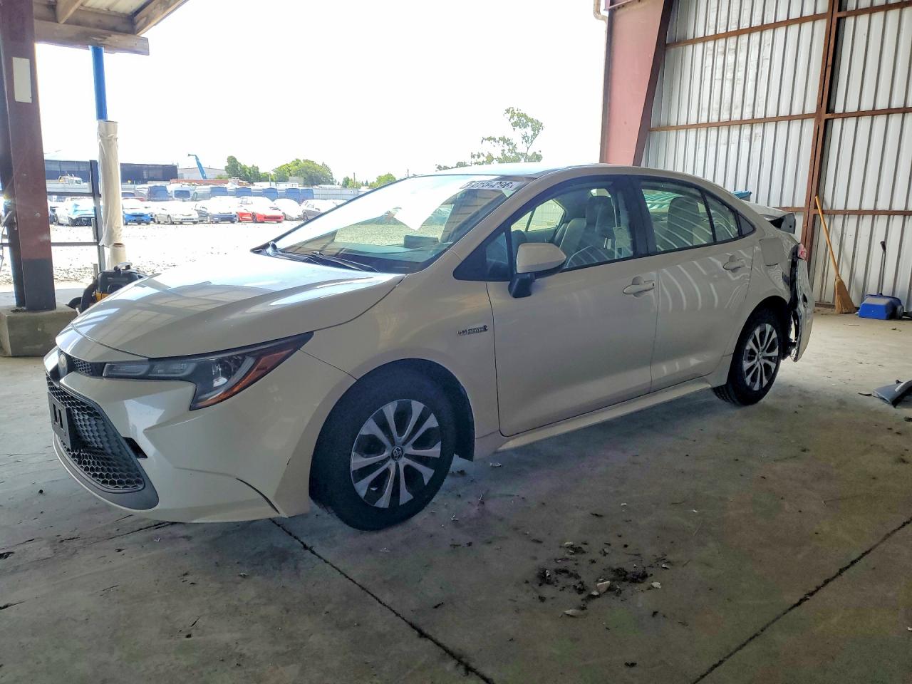 Salvage Toyota Corolla Image