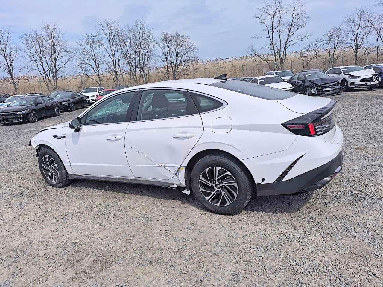 Hyundai SONATA Blue