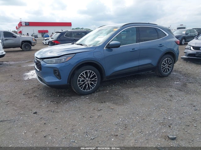 Ford Escape Phev