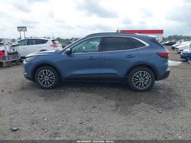 Ford Escape Phev