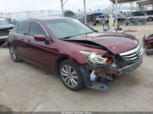 Salvage Honda Accord Image