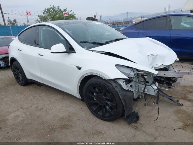 Salvage Tesla Model Y Image