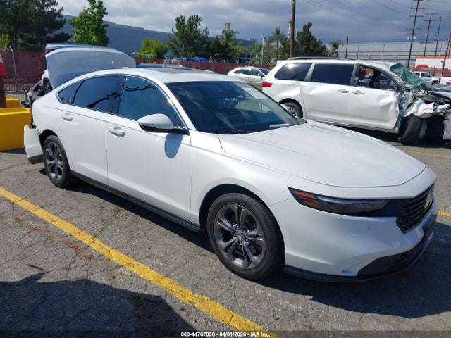 Salvage Honda Accord Image