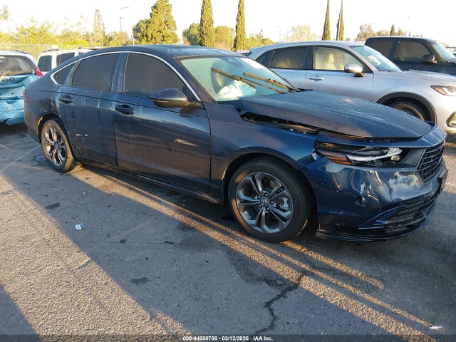 Salvage Honda Accord Image