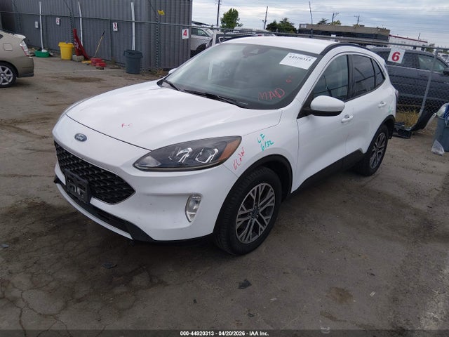 Ford Escape Sel