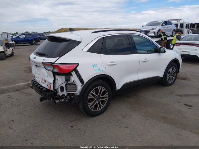 Ford Escape Sel