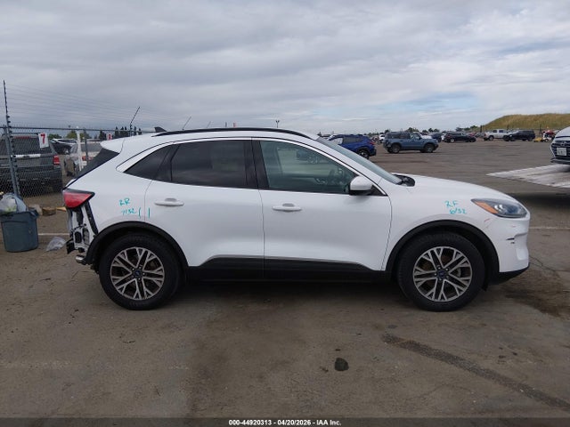 Ford Escape Sel