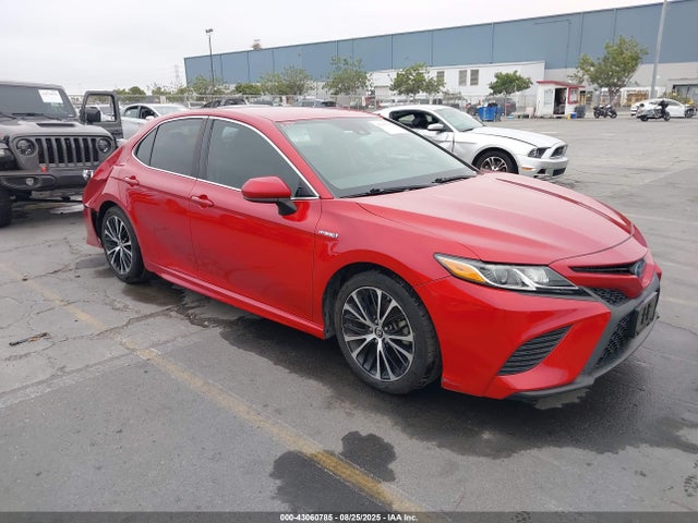 Salvage Toyota Camry Image