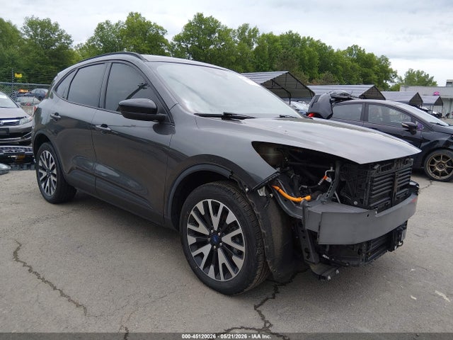 Salvage Ford Escape Image