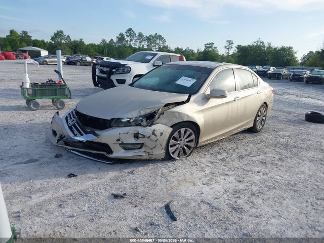 Honda Accord Ex-l