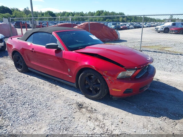 Salvage Ford Mustang Image