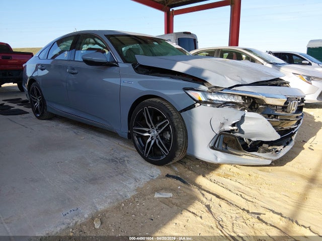 Salvage Honda Accord Image