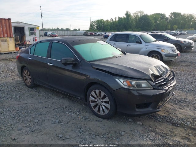 Salvage Honda Accord Image