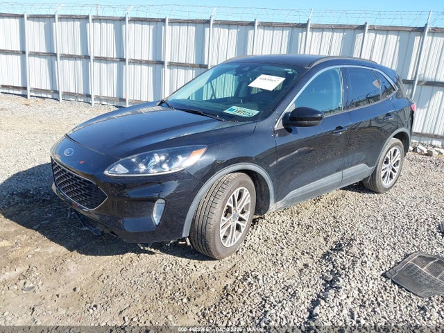 Ford Escape Sel