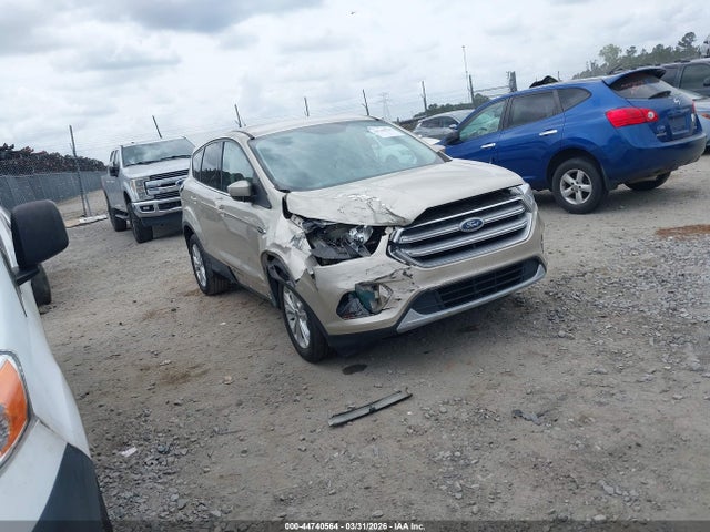 Salvage Ford Escape Image