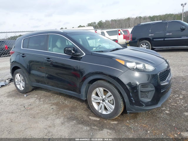Salvage Kia Sportage Image