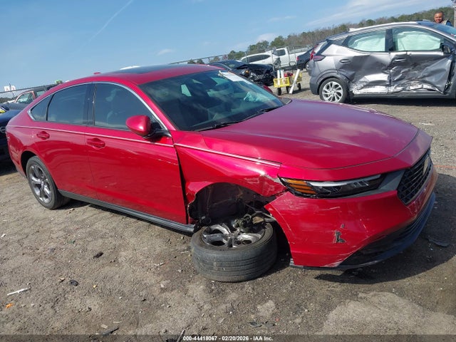 Salvage Honda Accord Image