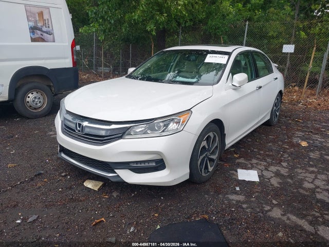 Honda Accord Ex-l V-6
